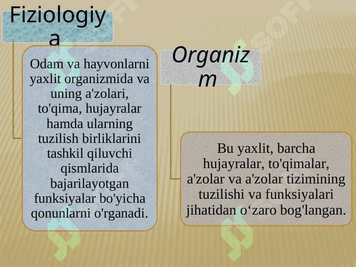 FIZIOLOGIYANING ASOSIY QONUNIYATLARI VA FIZIOLOGIK TUSHUNCHALAR 4