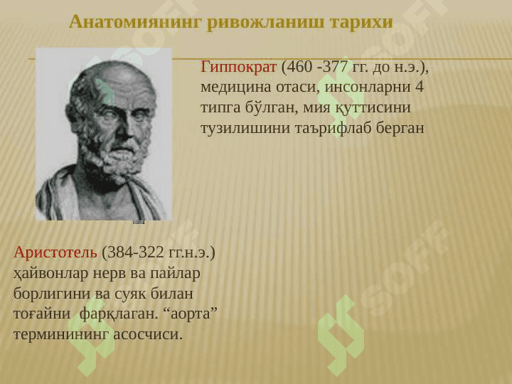 FIZIOLOGIYANING ASOSIY QONUNIYATLARI VA FIZIOLOGIK TUSHUNCHALAR 7