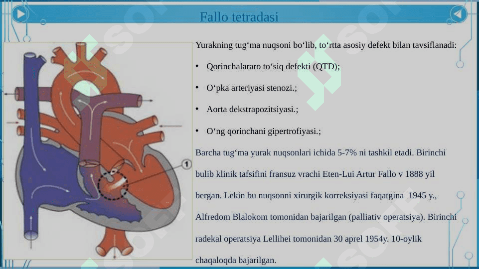 Yurak klapanlari kasalliklari. Revmatik kasalliklar. Kardiomiopatiyalar. 7
