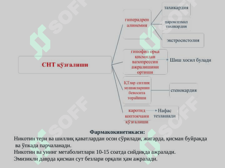 N-XOLINORETSEPTORLARGA TA`SIR ETUVCHI VOSITALAR 8