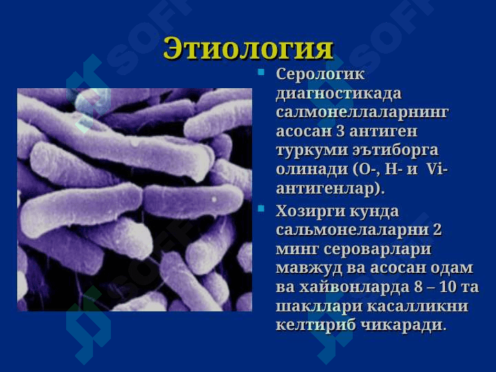 Сальмонеллез. Овкатдан захарланиш. Ботулизм. 6