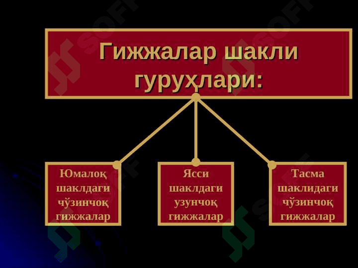 ГИЖЖА КАСАЛЛИКЛАРИ ВА УНИНГ АСОРАТЛАРИ 5