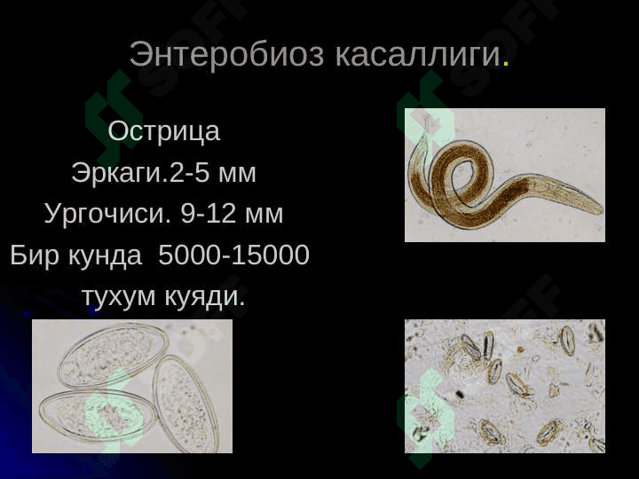 ГИЖЖА КАСАЛЛИКЛАРИ ВА УНИНГ АСОРАТЛАРИ 8