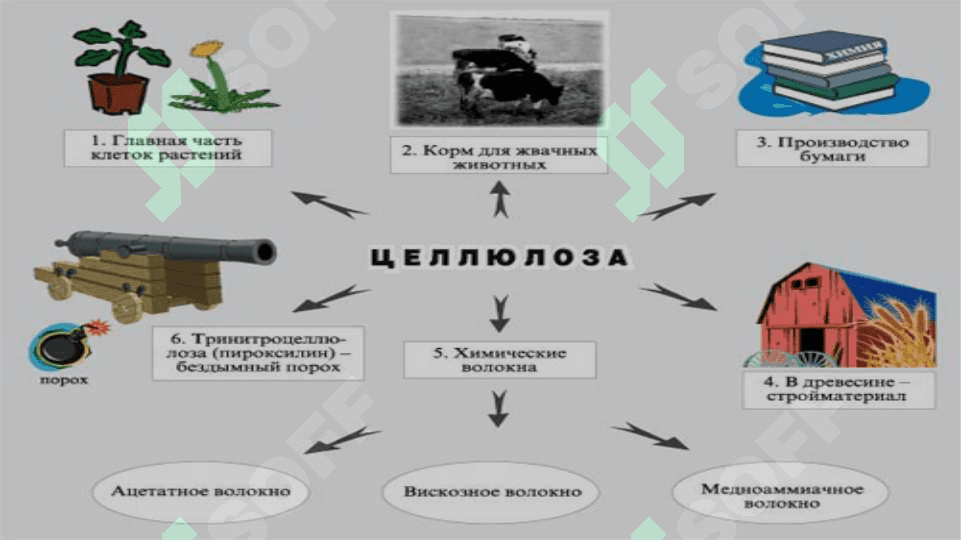 Sellyuloza va uning xosilalarini oziq-ovqat sanoatida ishlatilishi 8