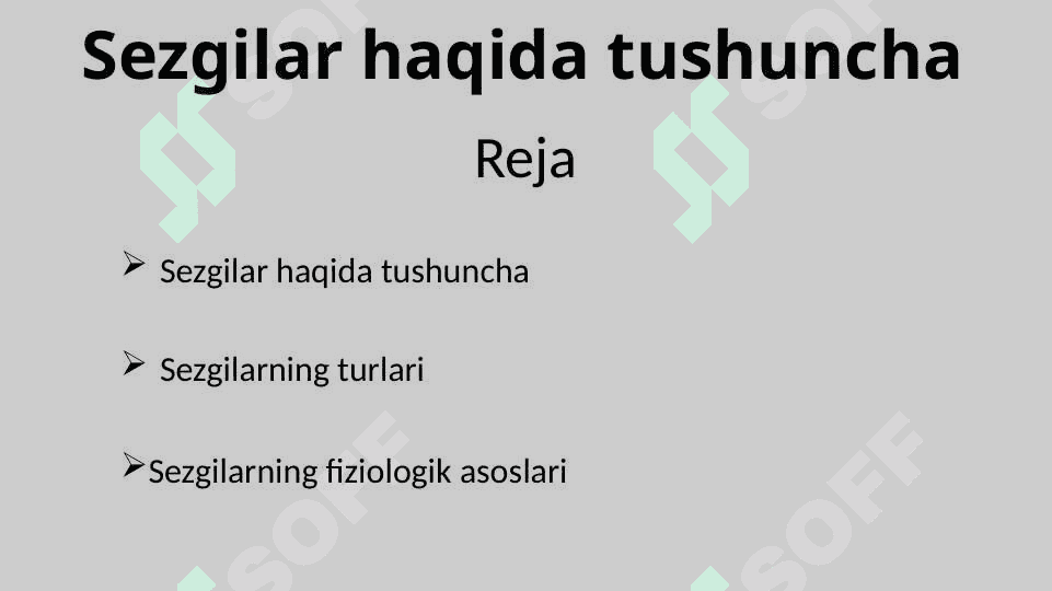Sezgilar haqida tushuncha 2