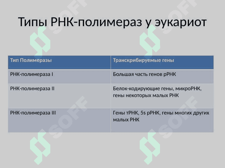 Транскрипция 8