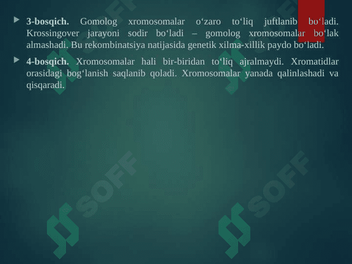 Hujayra reproduksiyasi, meyoz 4
