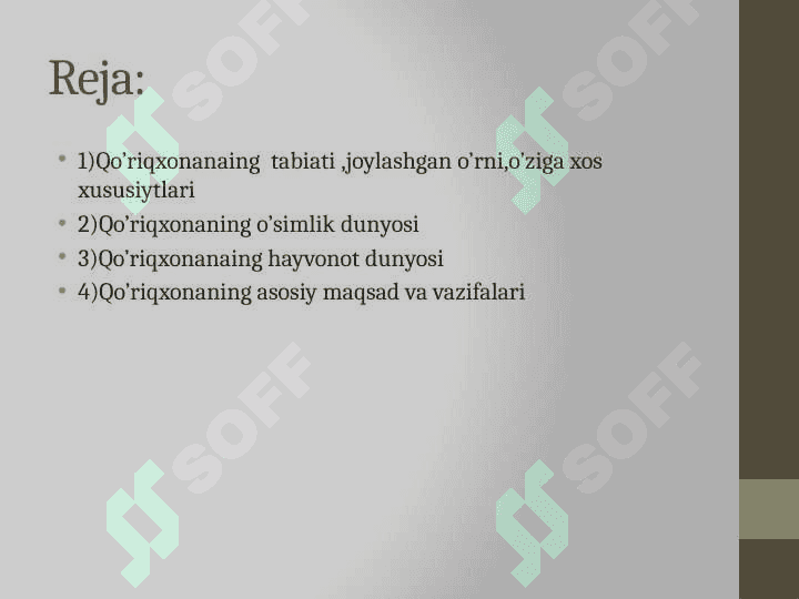 Kitob geologik qo‘riqxonasi 2