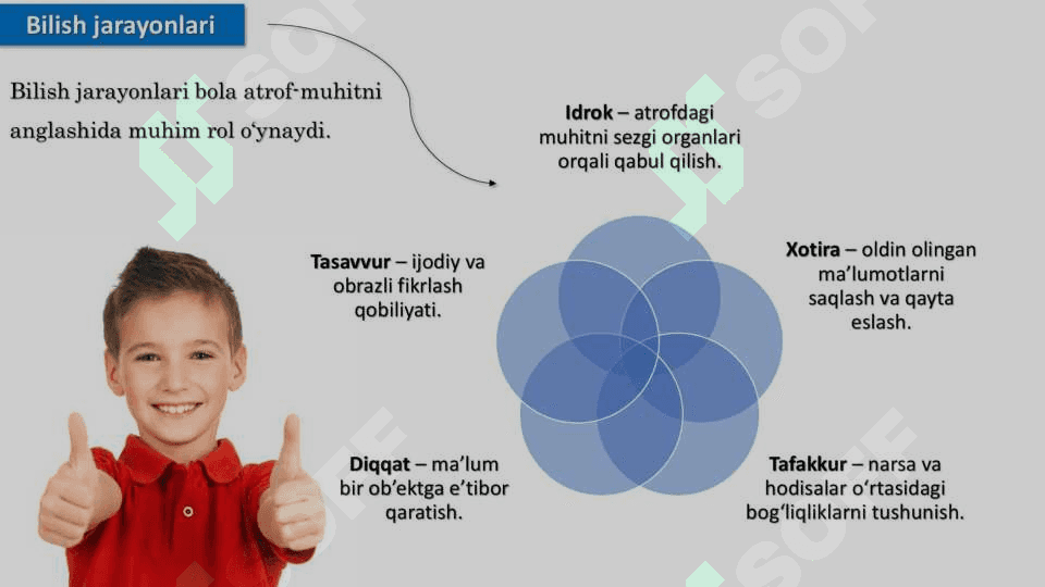 BOG'CHA YOSHIDA BILISH TARAQQIYOTI 1