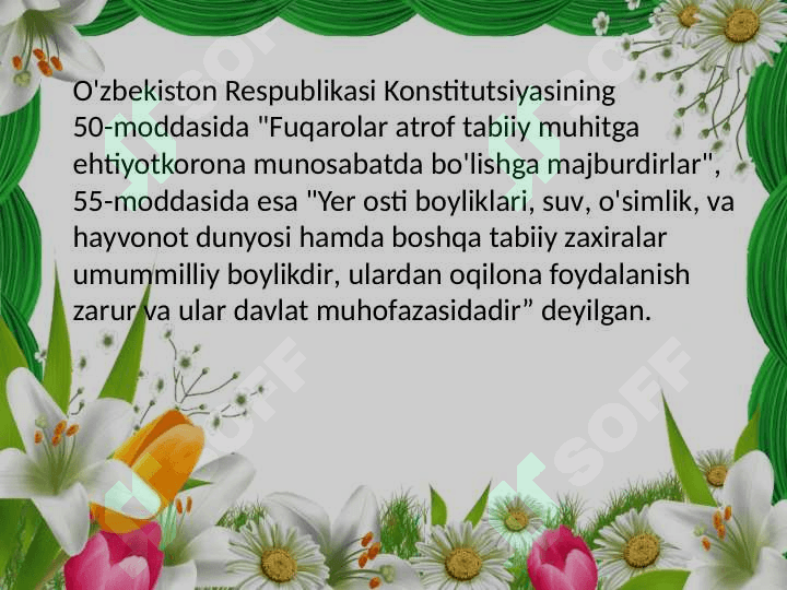 Ekologik tarbiya 5