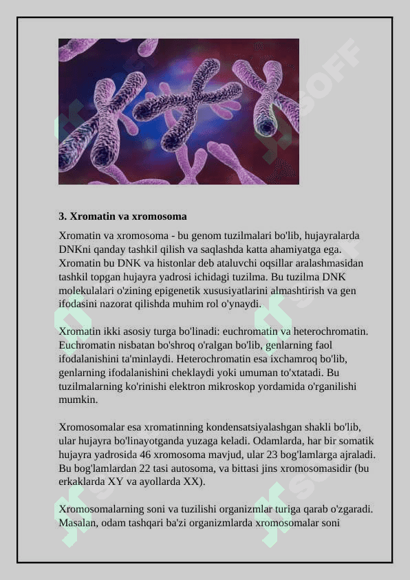 Genlar repressiyasi 7