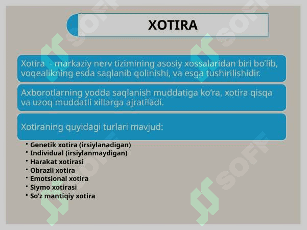 Oliy nerv faoliyati. Xotira va unga ta’sir etuvchi omillar 2