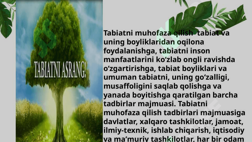 O‘zbekiston tabiatini muhofaza qilish 3