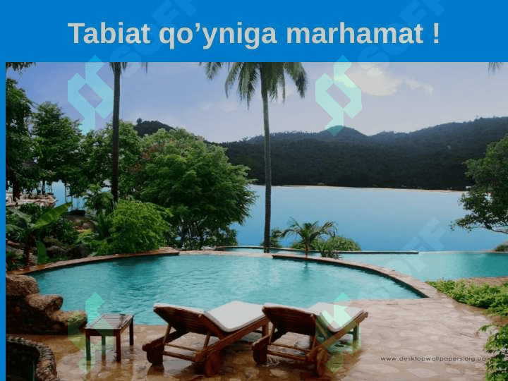 Tabiat va jamiyat o‘rtasidagi munosabatla 5