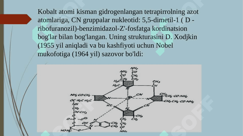 Vitamin B12 6