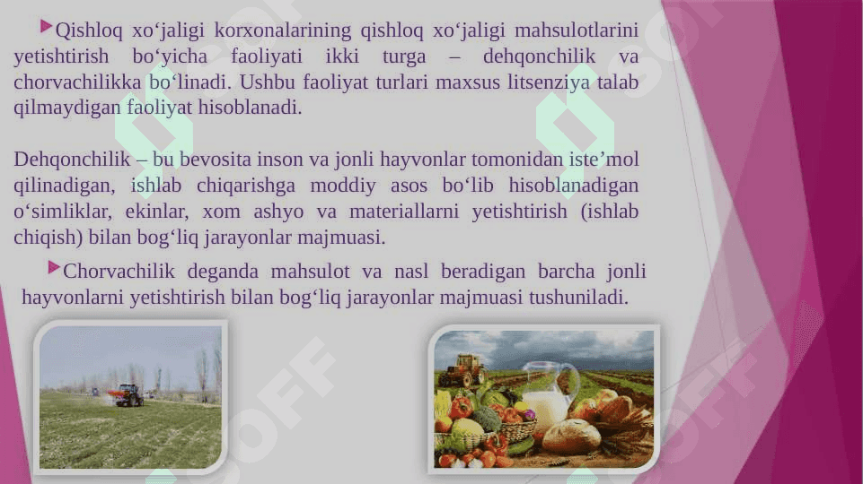DEHQONCHILIK VA CHORVACHILIKDA ISHLAB CHIQARISH XARAJATLARI HISOBI VA MOLIYAVIY HISOBOT 3