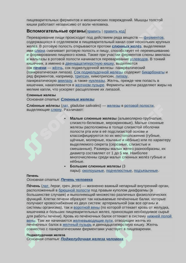 Пищеварительная система человека 4
