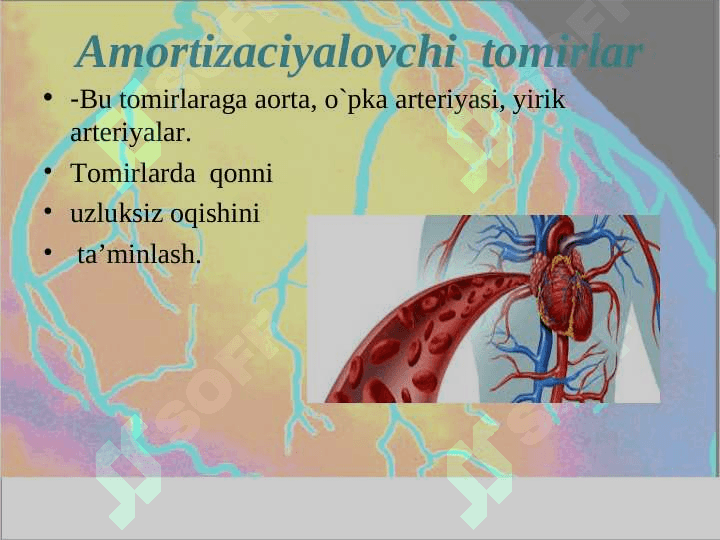 GEMODINAMIKA 6