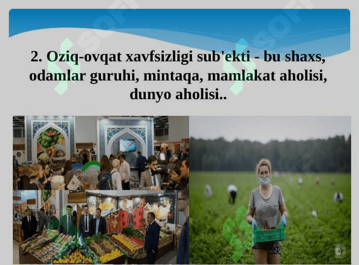 Oziq-ovqat xavfsizligi - milliy oziq-ovqat bozori strategiyasi 6