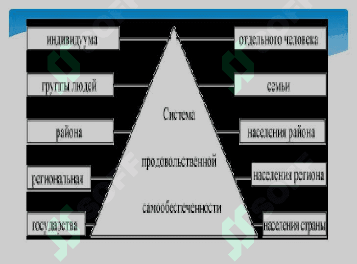 Oziq-ovqat xavfsizligi - milliy oziq-ovqat bozori strategiyasi 8