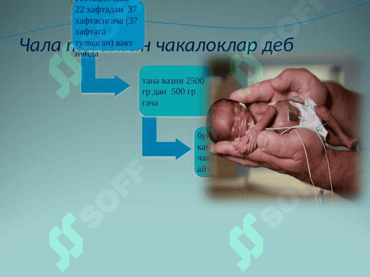 Chala tug`ilgan chaqaloqlar . Чала тугилган чакалоклар 3
