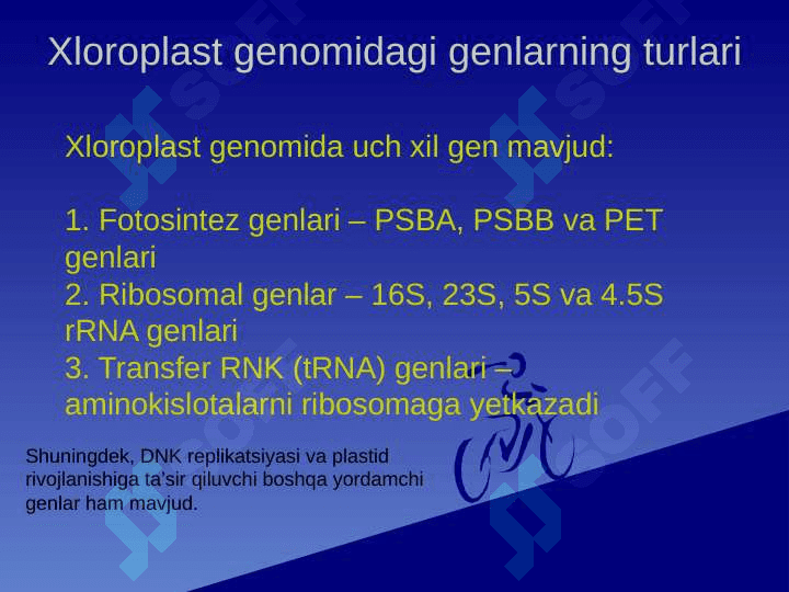 Xloroplast Geni . Xloroplast genomi Genetika va genomika asoslari fanidan taqdimot 7