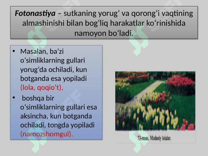 YORUG‘LIK – MUHITNING EKOLOGIK OMILI 8
