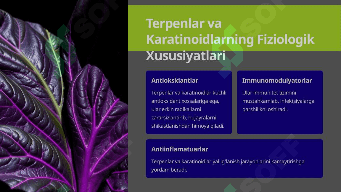 Terpenlar va Karatinoidlarning Tibbiyotdagi Ahamiyati 3