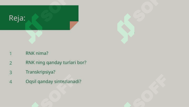 RNK tuzilishi va oqsil sintezi 2