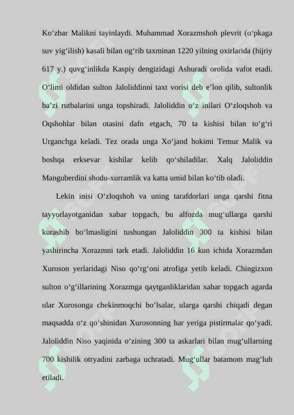 Jaloliddin Manguberdi yurt himoyachisi 5