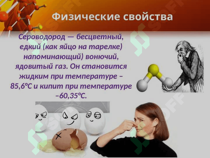 Сера и сераводородная соединения 6