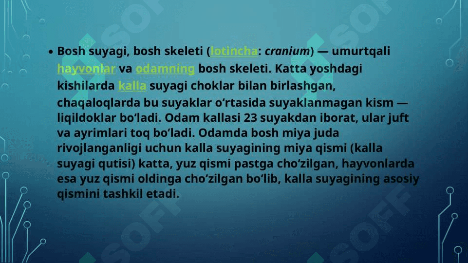 kalla suyaklarining rentgenanatomiyasi. kallaning jinsiy va shaxsiy tafovutlari 2