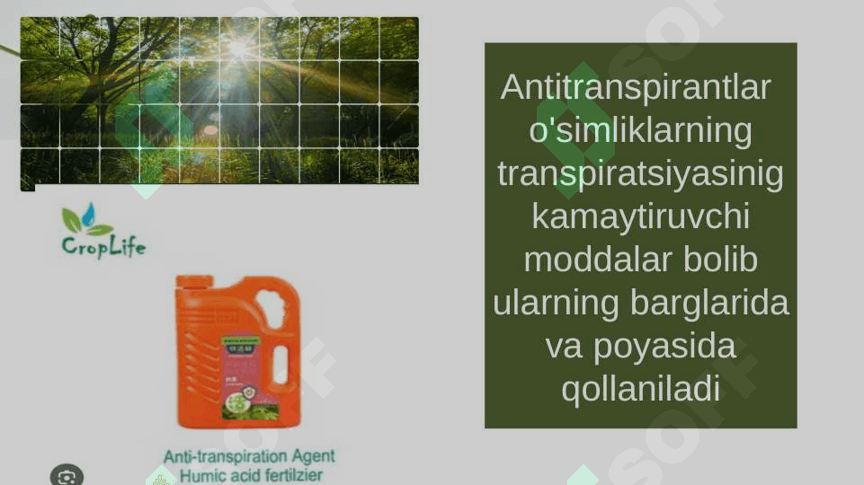 Antitranspirantlar va ularning tasir etish mexanizmlari 3