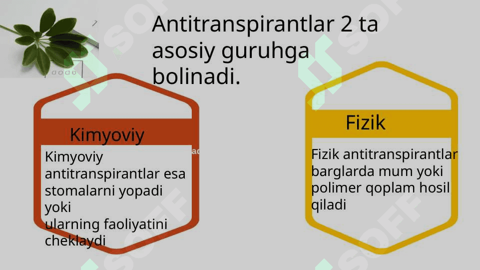 Antitranspirantlar va ularning tasir etish mexanizmlari 4