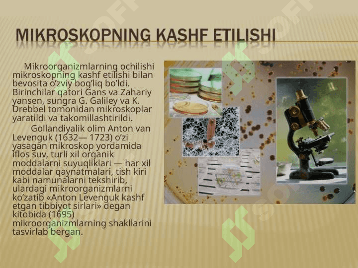 Mikroorganizmlar haqida 4