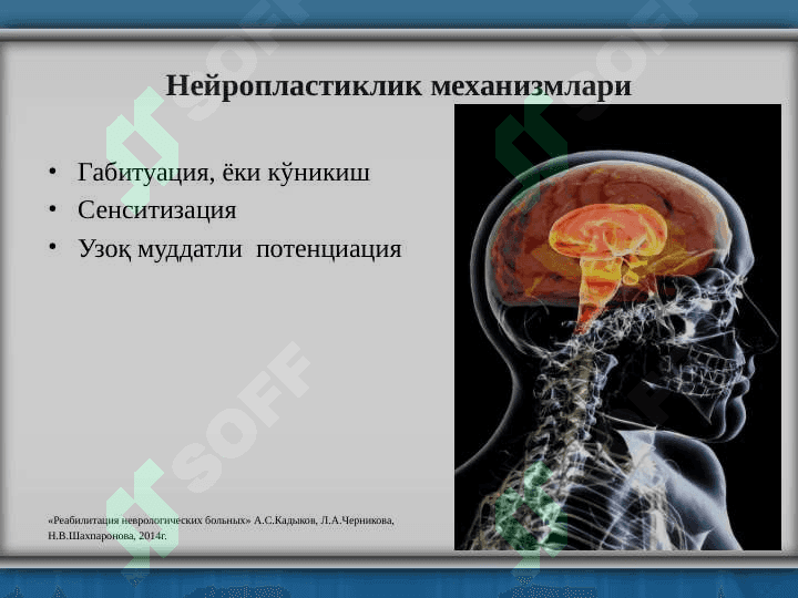 Инсультдан кейинги реабилитация 5