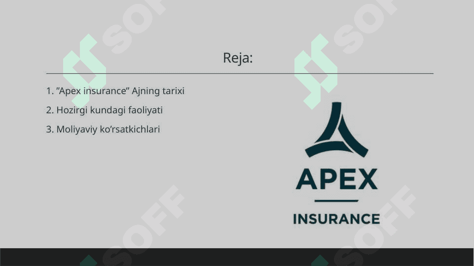 Apex insurance sug'urta kompaniyasi 2