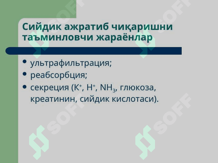 Буйраклар патофизиологияси 3