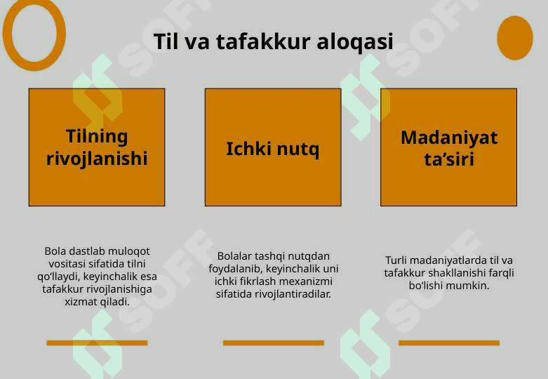 L.S. Vigotskiyning madaniy-tarixiy konsepsiyasi 8