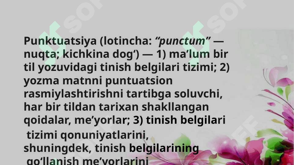 Punktuatsion savodxonlik boʻyicha taqdimot 2