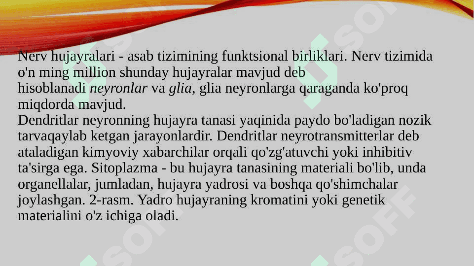 Asab jarayonlarining qo‘zgalishi va tormozlanishi 3