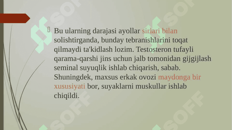 Jinsiy bezlarning tuzilishi va yoshga bog’liq xususiyatlari 8