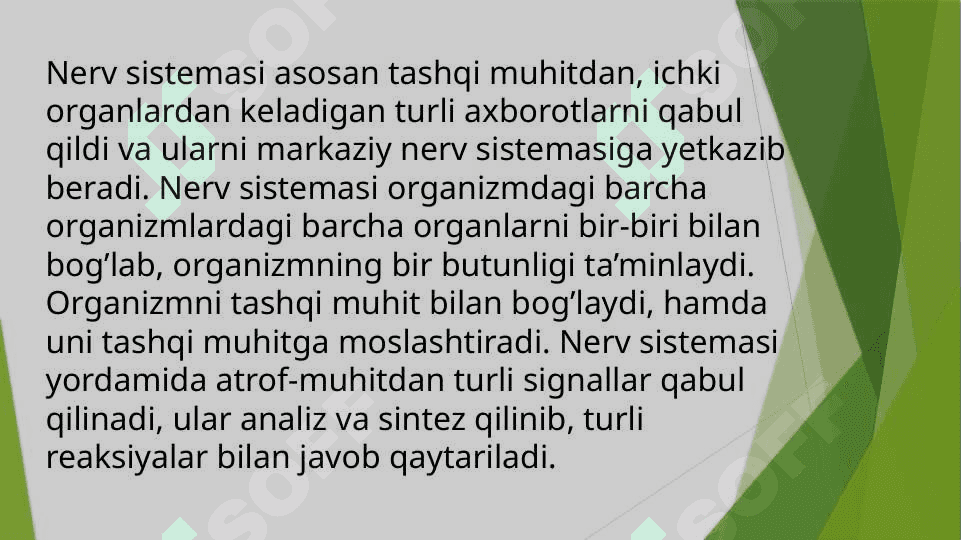 Nerv sistemasining rivojlanishi 3