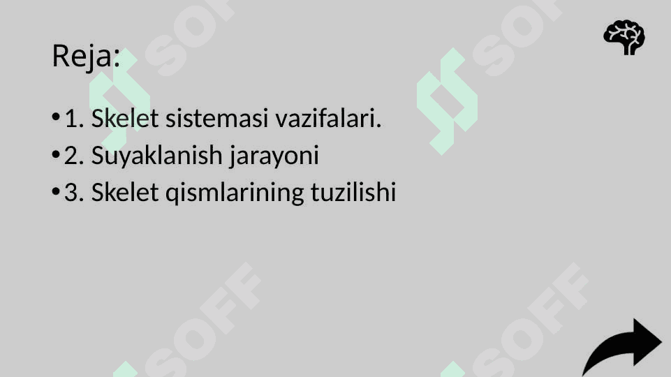 Skelet sistemasining o’sishi va rivojlanishining yosh xususiyatlari 2