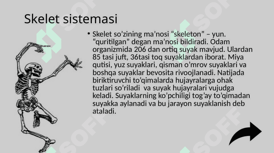 Skelet sistemasining o’sishi va rivojlanishining yosh xususiyatlari 7