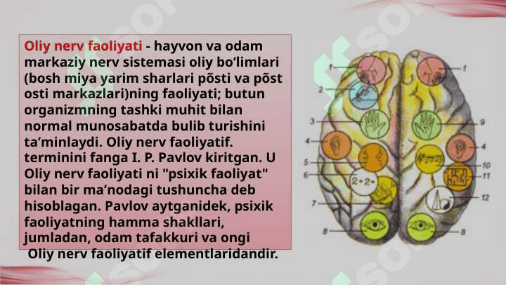 Oliy nerv faoliyati tiplari va aniqlash usullari. 2