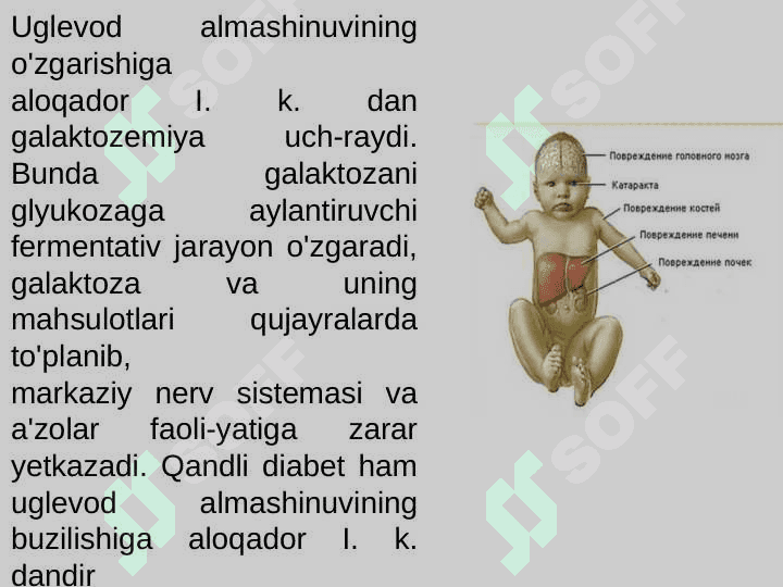 Irsiyat.Irsiy kasalliklar. Vitaminlarv va vitaminlar ularning bolalar organizmiga ta'siri 5