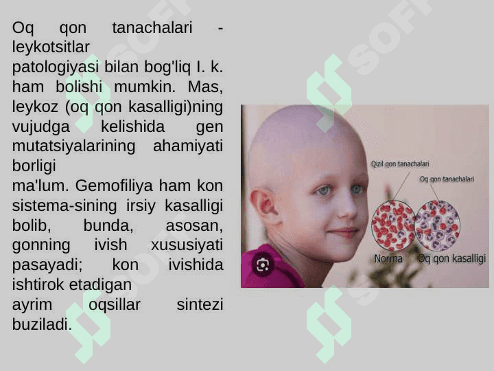 Irsiyat.Irsiy kasalliklar. Vitaminlarv va vitaminlar ularning bolalar organizmiga ta'siri 8