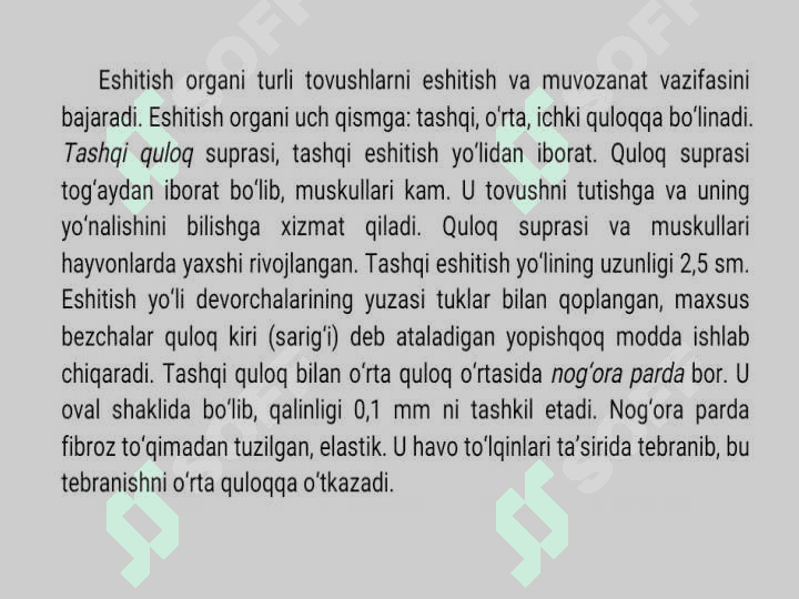 Eshitish analizatorining yosh xususiyatlari 4