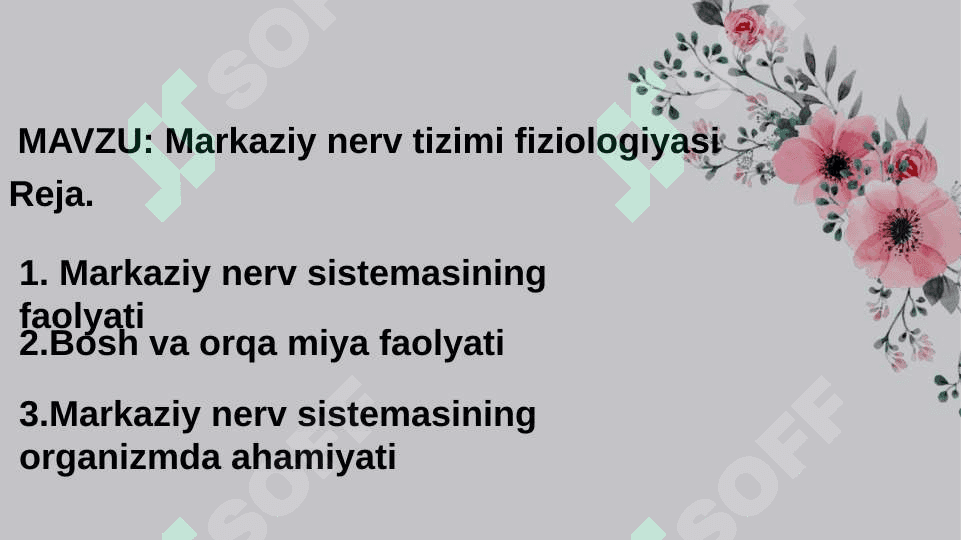 Markaziy nerv tizimi fiziologiyasi 2